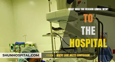 Why Gimga's Hospital Visit Became a Topic of Concern