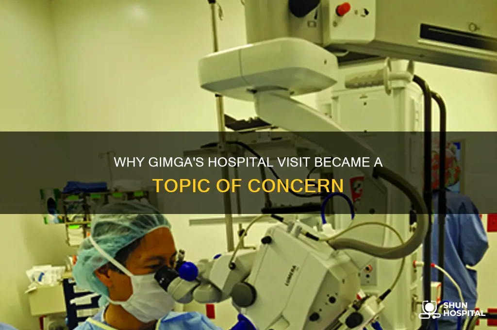 what was the reason gimga went to the hospital