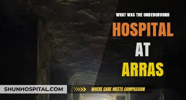Arras' Hidden Lifeline: The Secret Underground Hospital of WWI