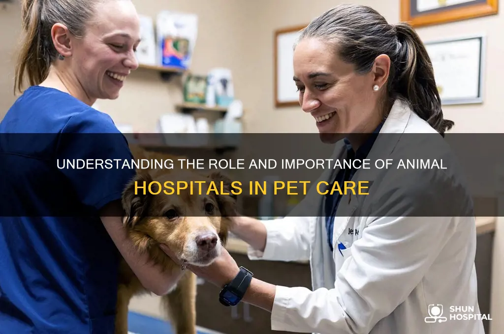 what we call animal hospital