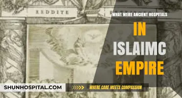 Healing in History: Exploring Ancient Hospitals of the Islamic Empire