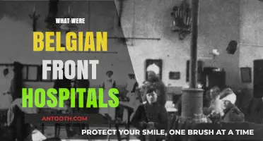 Belgian Front Hospitals: A Glimpse into WWI Medical Care