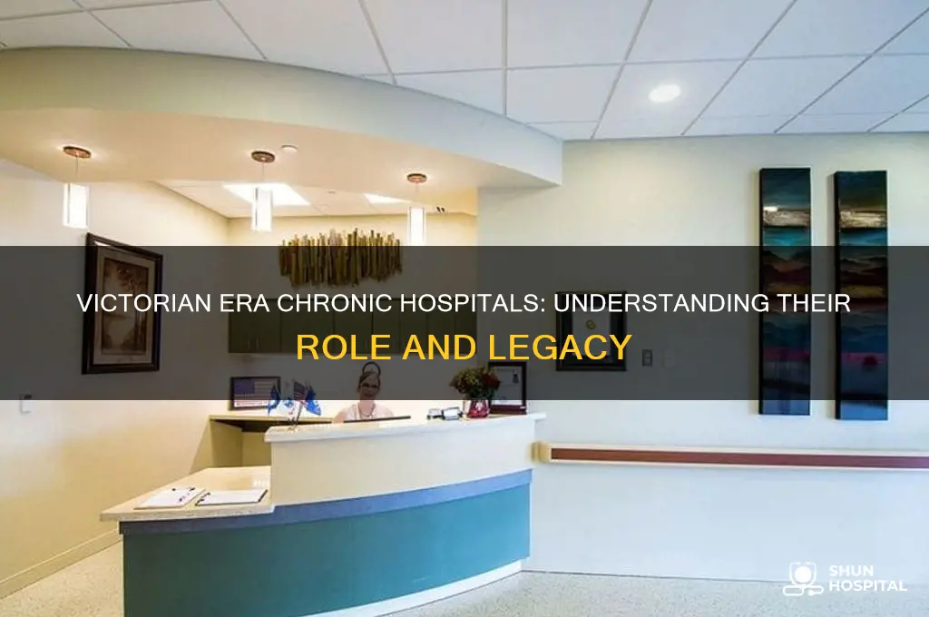 what were considered chronic hospitals in the victorian era