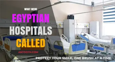 Exploring Ancient Egyptian Healthcare: What Were Their Hospitals Called?