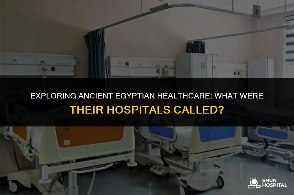 what were egyptian hospitals called