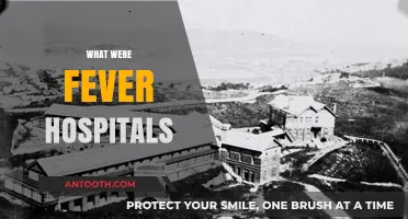 Exploring the History and Purpose of Fever Hospitals