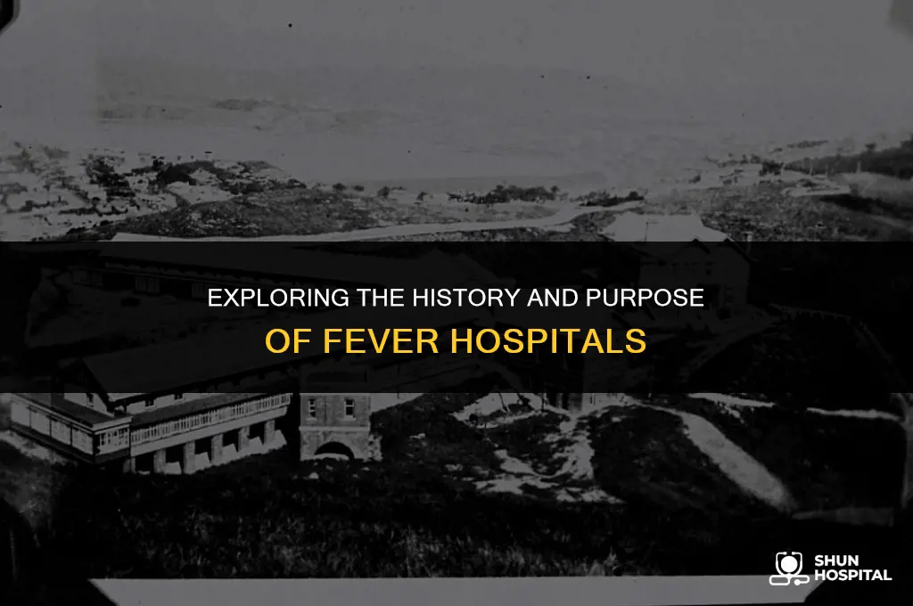 what were fever hospitals