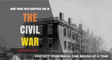 Civil War Field Hospitals: Conditions, Care, and Survival Insights