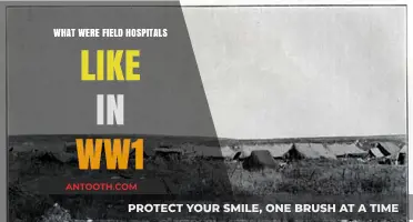 Life and Death in WW1 Field Hospitals: A Glimpse Inside