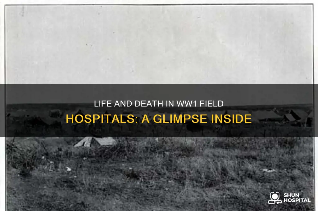 what were field hospitals like in ww1