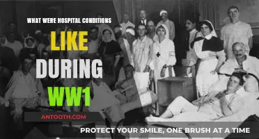 World War I Hospitals: A Glimpse into the Harsh Realities of Wartime Care