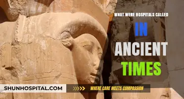 Ancient Healing Centers: Unveiling the Origins of Early Hospitals