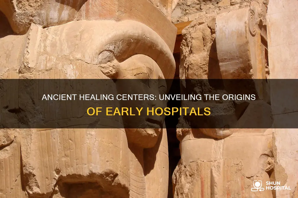 what were hospitals called in ancient times