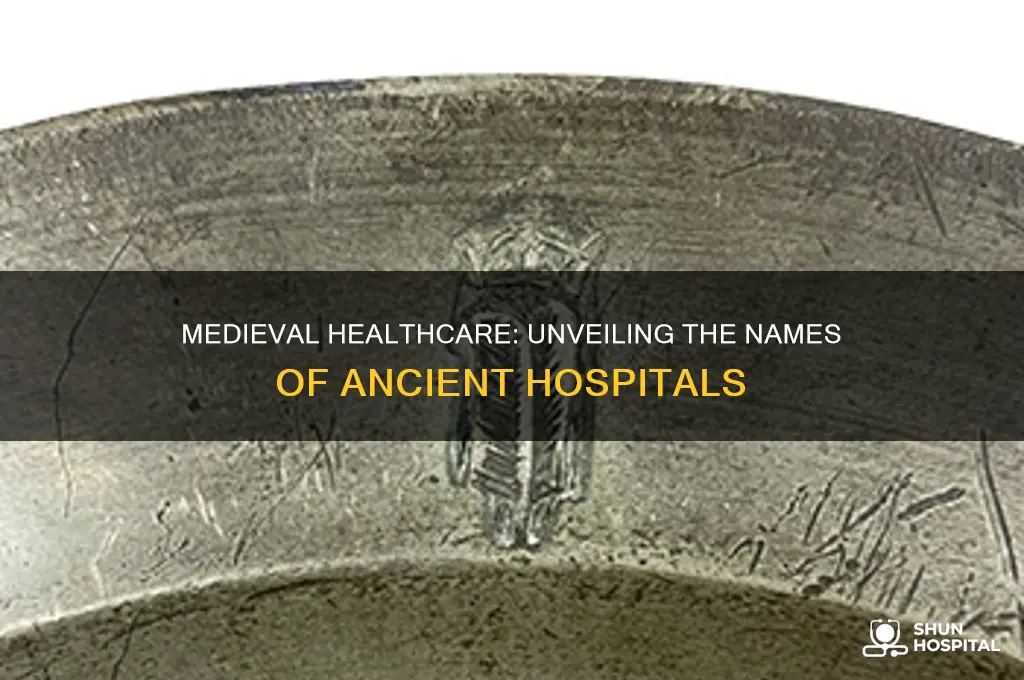 what were hospitals called in medieval times