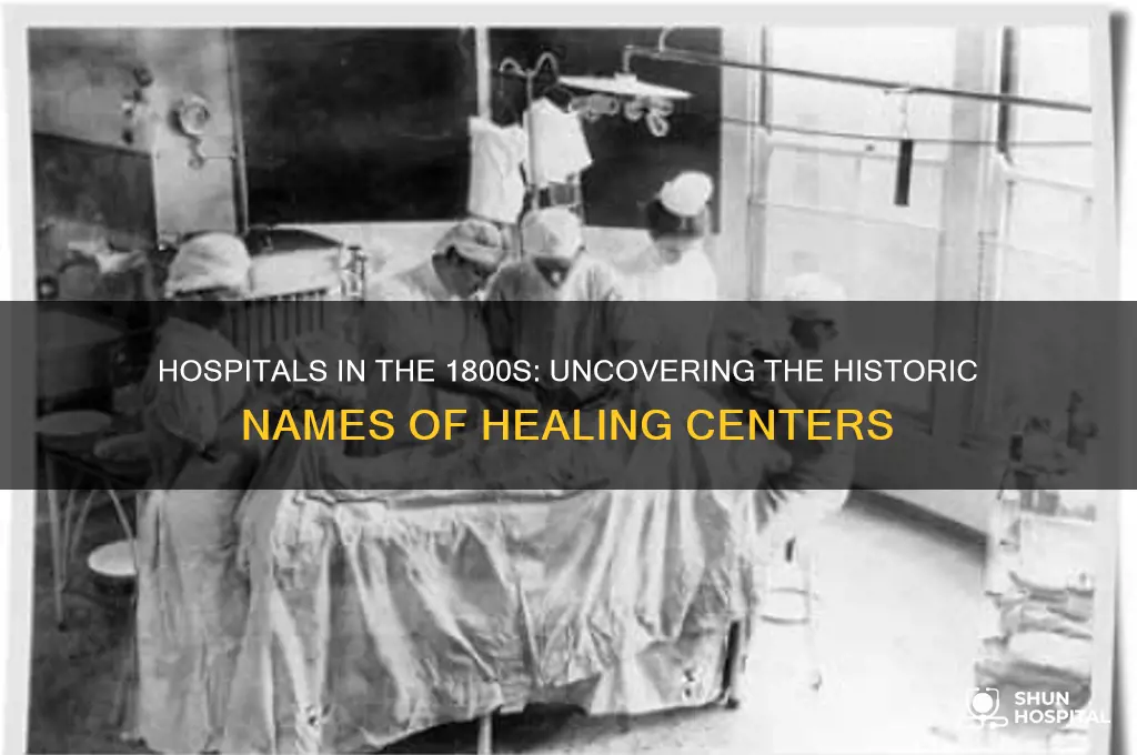 what were hospitals called in the 1800s