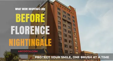 Hospitals Before Nightingale: A Glimpse into Pre-Modern Healthcare