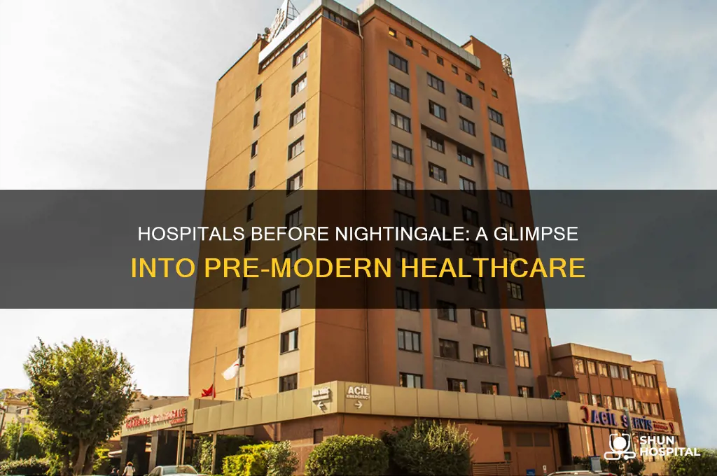 what were hospitals like before florence nightingale