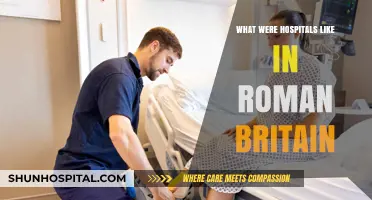 Healing in Ancient Times: Exploring Roman Britain's Hospitals and Care