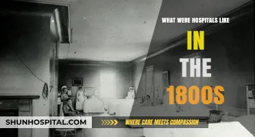 19th-Century Healthcare: A Glimpse into Hospitals of the 1800s