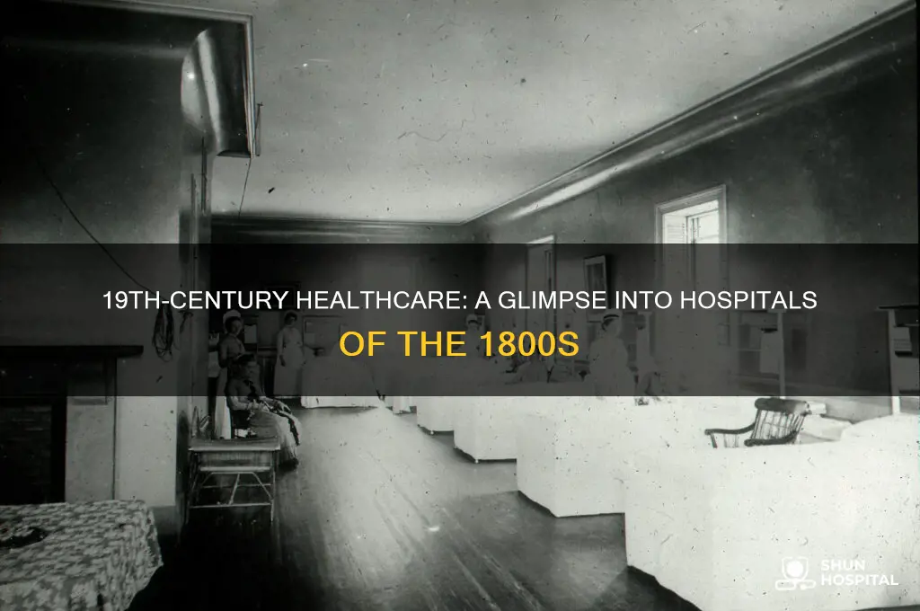 what were hospitals like in the 1800s