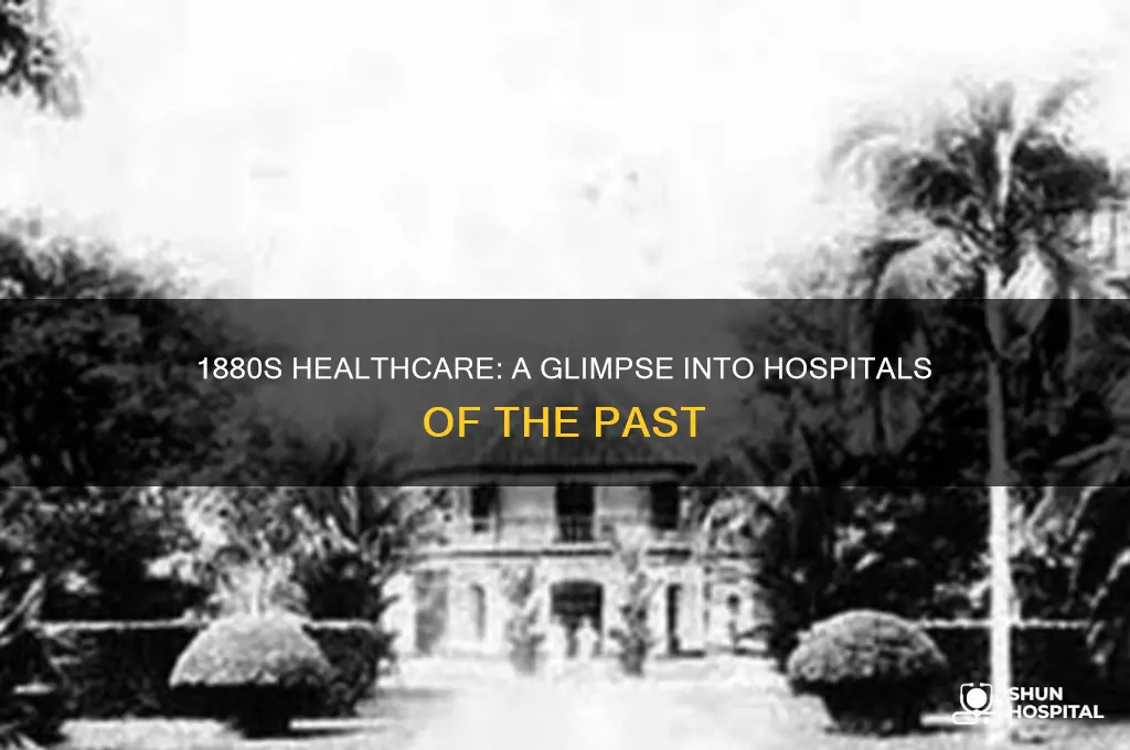 what were hospitals like in the 1880