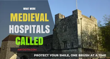 Healing Havens: Unveiling the Names of Medieval Hospitals