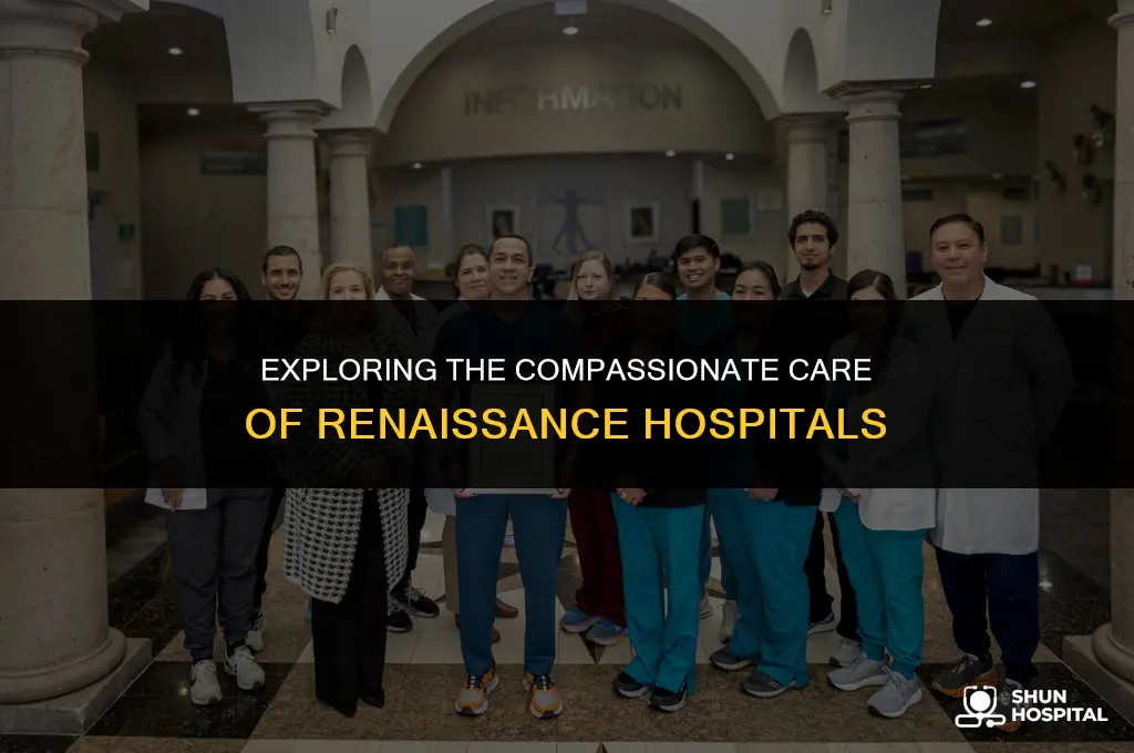 what were renaissance hospitals like