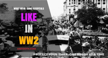 WWII Hospitals: Conditions, Challenges, and Resilience on the Frontlines