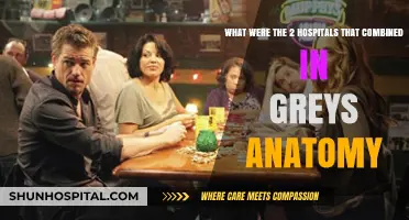 Grey's Anatomy Hospital Merger: Uniting Seattle Grace and Mercy West