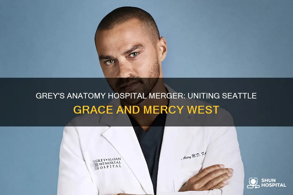 what were the 2 hospitals that combined in greys anatomy