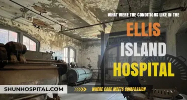Life and Care: Inside Ellis Island's Hospital Conditions