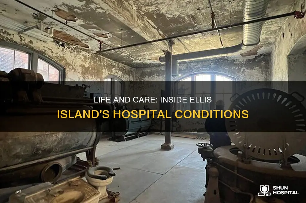what were the conditions like in the ellis island hospital