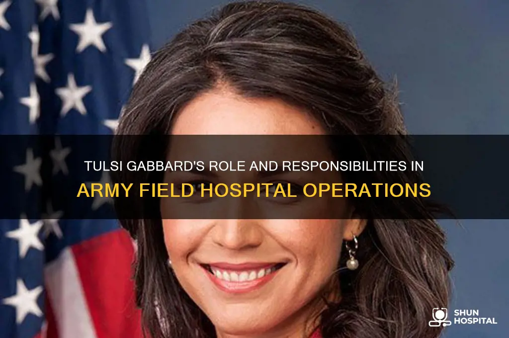 what were tulsi gabbard