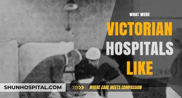 Exploring the Horrors and Triumphs of Victorian-Era Hospitals