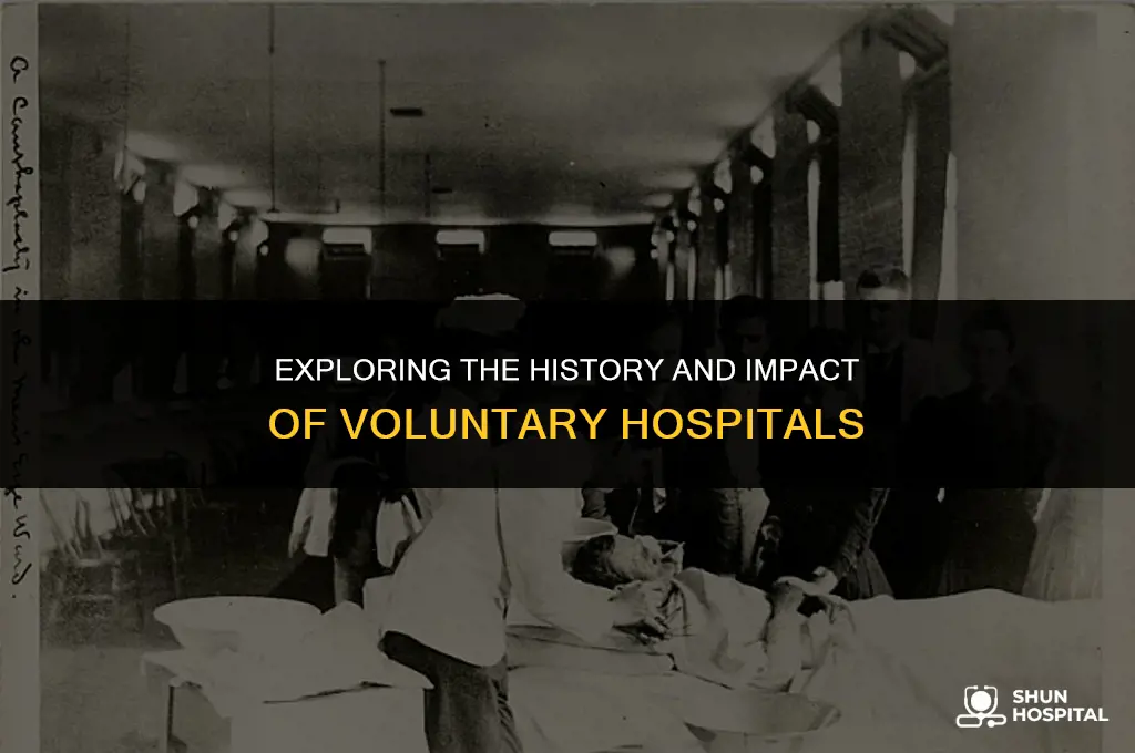what were voluntary hospitals