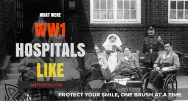 Behind the Frontlines: A Glimpse into World War I Hospitals