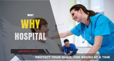 Exploring the Purpose and Importance of Hospitals in Modern Healthcare