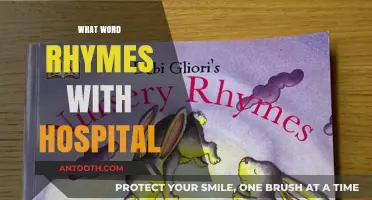 Exploring Rhymes: What Word Rhymes with Hospital?