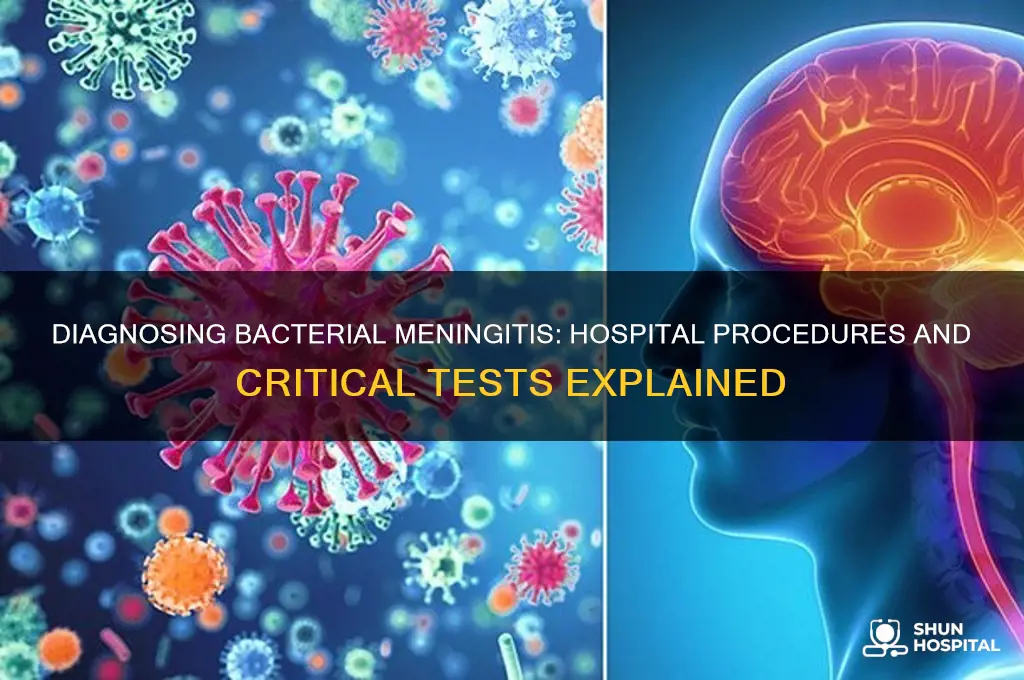 what would a hospital do to diagnose bacterial meningitis