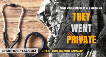 Privatizing VA Hospitals: Potential Impacts on Veterans' Healthcare Access
