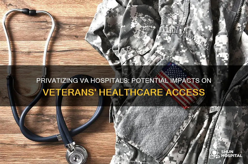 what would happen to va hospitals if they went private