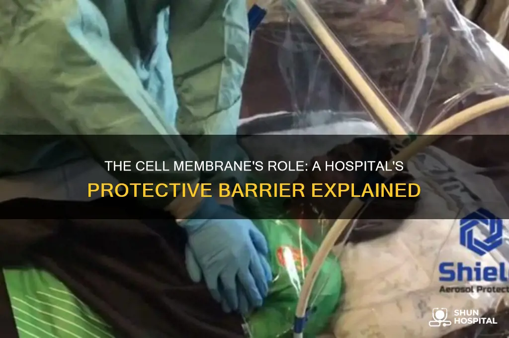 what would the cell membrane be in a hospital