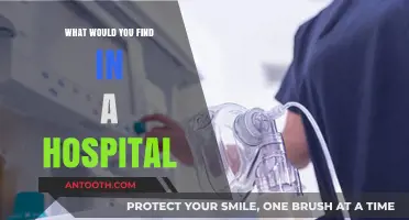 Exploring Hospital Essentials: Equipment, Staff, and Patient Care Insights