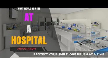 Exploring a Hospital: Departments, Equipment, and Patient Care Insights