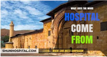The Origin of 'Hospital': Uncovering the Word's Surprising Historical Roots