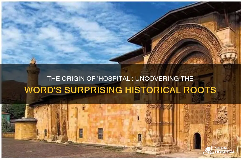 what xoes the word hospital come from