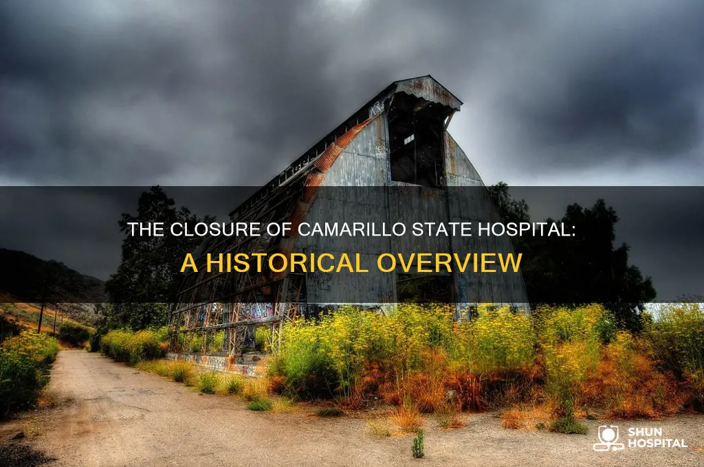 what year did camarillo state hospital closed