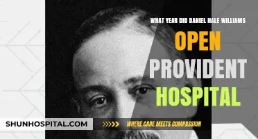 Daniel Hale Williams' Legacy: Provident Hospital's Founding Year Revealed