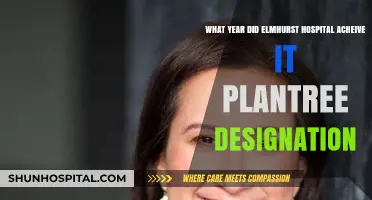Elmhurst Hospital's Plantree Designation Year: A Milestone in Patient-Centered Care
