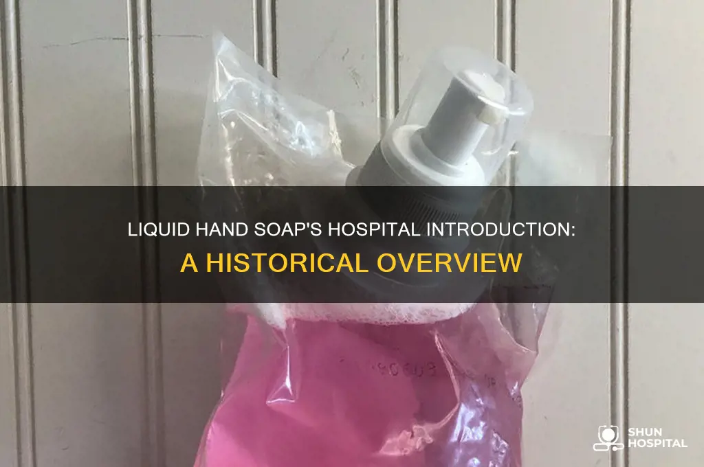 what year did liquid hand soap end up in hospitals